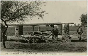 Lifting Prints: Egypt, Africa - A Sakia, used for irrigation
