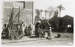 Egypt - Alexandria - Sugar Cane and Sweet Vendor