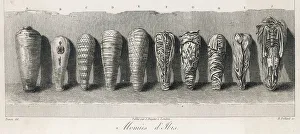 Orientalist Prints: EGYPT/ARCHAEOLOGY/MUMMIE
