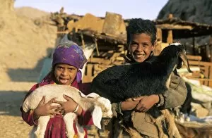 Goats Gallery: Egypt - Bedouin children cuddle goats