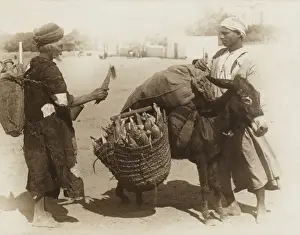 Foods Prints: Egypt - buying corn from a donkeys panniers