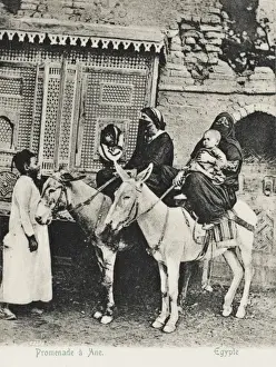 Egypt - Cairo - Donkey Ride