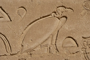 Images Dated 2nd December 2003: Egypt. Edfu. Temple of Horus. Vulture. Relief