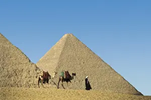 EGYPT. GIZA. Giza. The Pyramid of Khufu. Egyptian