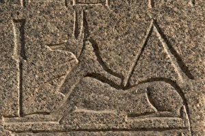 Images Dated 18th November 2003: Egypt. God Anubis. Relief. Memphis