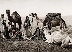 Egypt, halt of a camel train in the desert