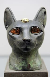 Images Dated 29th February 2012: Egypt. Head of a cat with amber eyes. Carlsberg Glyptotek Mu