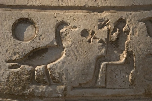 Images Dated 18th November 2003: Egypt. Hieroglyphic writing