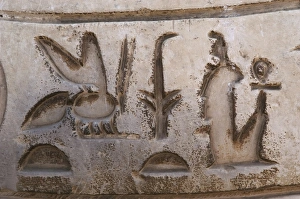 Images Dated 18th November 2003: Egypt. Hieroglyphic writing