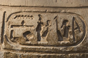 Images Dated 18th November 2003: Egypt. Hieroglyphic writing. Cartridge