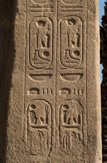 Images Dated 18th November 2003: Egypt. Hieroglyphic writing. Cartridge