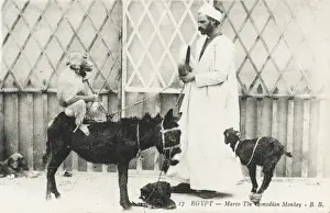 Goat Prints: Egypt - Marco the Comedian Monkey