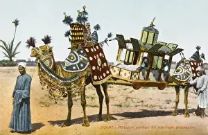 Egypt - Marriage Pavilion carried by camels