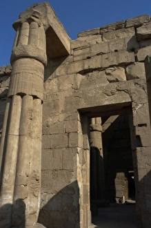 Images Dated 26th November 2003: EGYPT. Papyrus column. Offerings room. Temple of Luxor. New