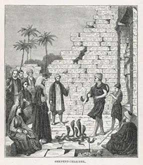 Charmers Prints: Egypt Snake Charmer