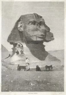 Colossal Prints: Egypt / Sphinx / Detail / 1879