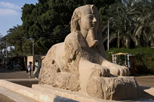 Amenhotep Gallery: Egypt. Sphinx of Memphis. Alabaster