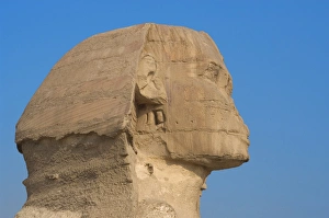 Images Dated 20th November 2003: Egypt. Spinx of Giza