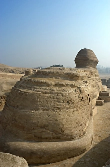 Images Dated 20th November 2003: Egypt. Spinx of Giza. Back