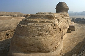 Images Dated 20th November 2003: Egypt. Spinx of Giza. Back