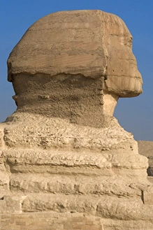 Images Dated 20th November 2003: Egypt. Spinx of Giza