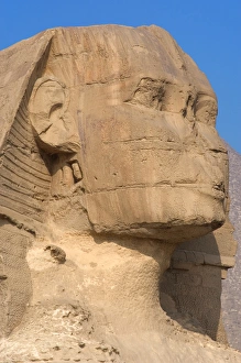 Images Dated 20th November 2003: Egypt. Spinx of Giza