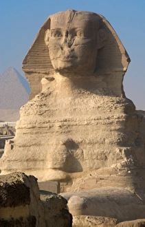 Images Dated 20th November 2003: Egypt. Spinx of Giza