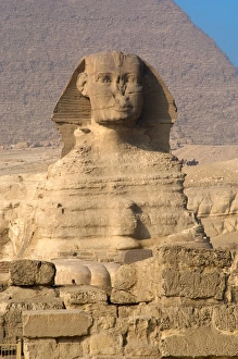 Images Dated 20th November 2003: Egypt. Spinx of Giza