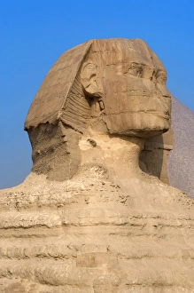 Images Dated 20th November 2003: Egypt. Spinx of Giza