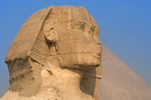 Images Dated 20th November 2003: Egypt. Spinx of Giza