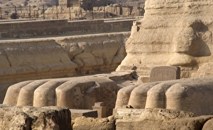 Images Dated 20th November 2003: Egypt. Spinx of Giza. Detail. Lions claws