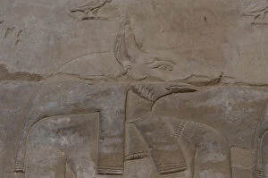 Images Dated 30th November 2003: Egypt. Temple of Horus. Relief depicting the jackal-headed G