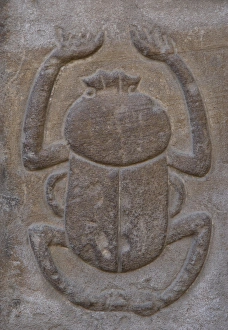 Images Dated 30th November 2003: Egypt. Temple of Horus. Relief depicting a beetle. Edfu