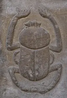 Horus Prints: Egypt. Temple of Horus. Relief depicting a beetle. Edfu