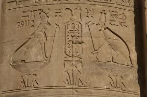 Images Dated 30th November 2003: Egypt. Temple of Horus. Relief depicting a sphinx with falco