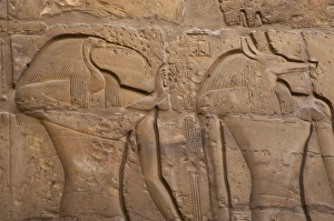 Anubis Gallery: Egypt. Thoth and Anubis Gods