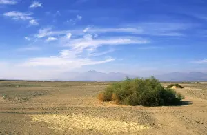 Egypt - a typical morning scene with Zilla spinoza