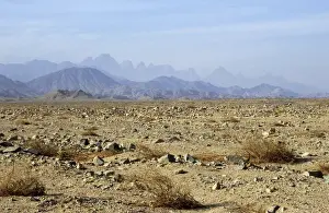 Egypt - typical scene in Arabian desert