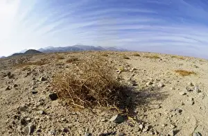 Egypt - typical scene in Arabian desert