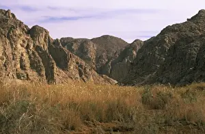 Deserts Prints: Egypt - a typical uninhabited oasis among rocks