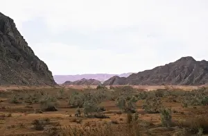 Deserts Prints: Egypt- a typical uninhabited oasis on a salty water