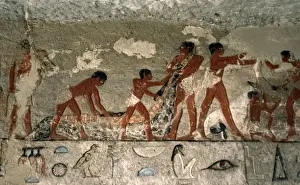Polychromy Prints: Egyptian Art. Crocodiles hunt. Relief. Mastaba. Necropolis