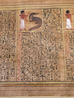 Hieroglyph Collection: Egyptian art. Fragment of a papyrus with hieroglyphic writin