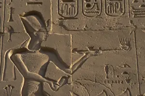 Egyptian Art. Karnak. The Pharaoh Ramesses II making an offe