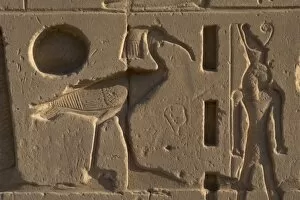 Images Dated 25th November 2003: Egyptian Art. Karnak. Relief with an Ibis