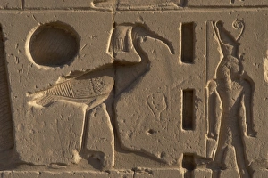 Images Dated 25th November 2003: Egyptian Art. Karnak. Relief with an Ibis