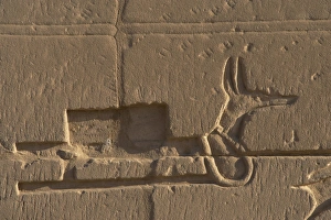 Images Dated 25th November 2003: Egyptian Art. Karnak. Relief with a jackal