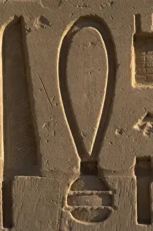 Protective Prints: Egyptian Art. Karnak. Sa protective symbol. Relief
