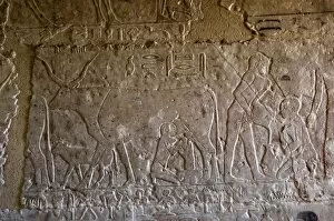 Images Dated 22nd November 2003: Egyptian Art. Necropolis of Saqqara. Mastaba. Relief. Milkin