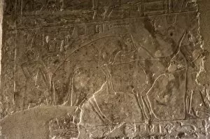 Egyptian Art. Necropolis of Saqqara. Mastaba. Relief. Copula